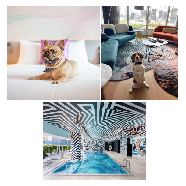 Best Dog-Friendly Hotels in Brisbane