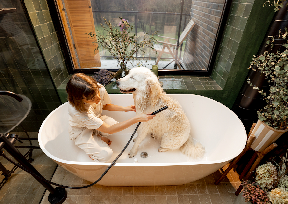 dog and owner woman in bath tub - dog friendly hotel in sydney, pet friendly