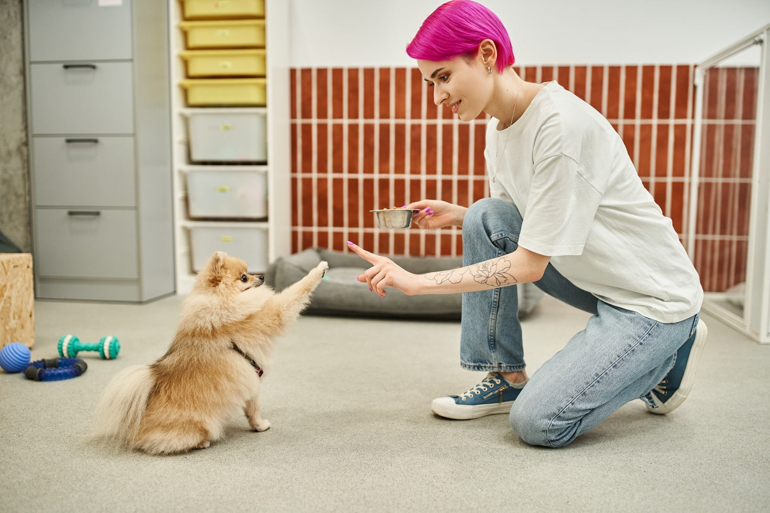 Dog training statistics