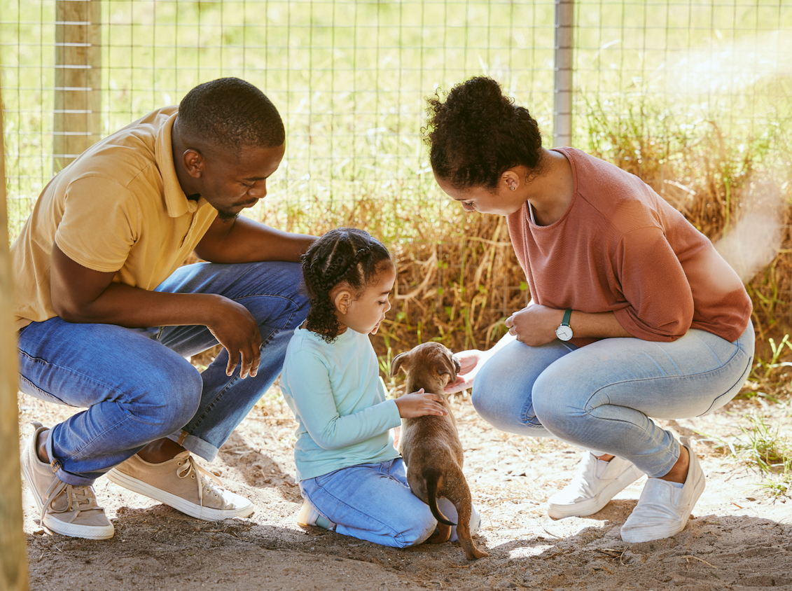 family adopting a dog that is being rehomed