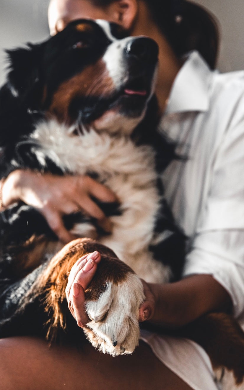 Woman hugging dog