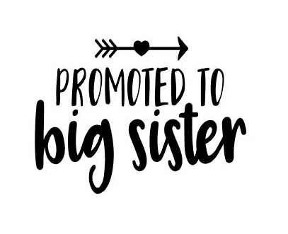 Promoted to hotsell big sister