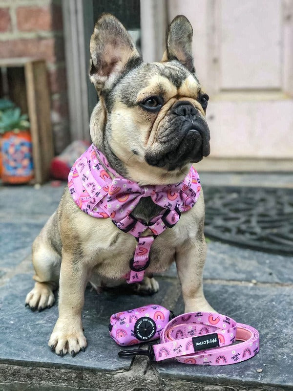 Mama's Girl Adjustable Harness (Front D-Ring) - Main Image