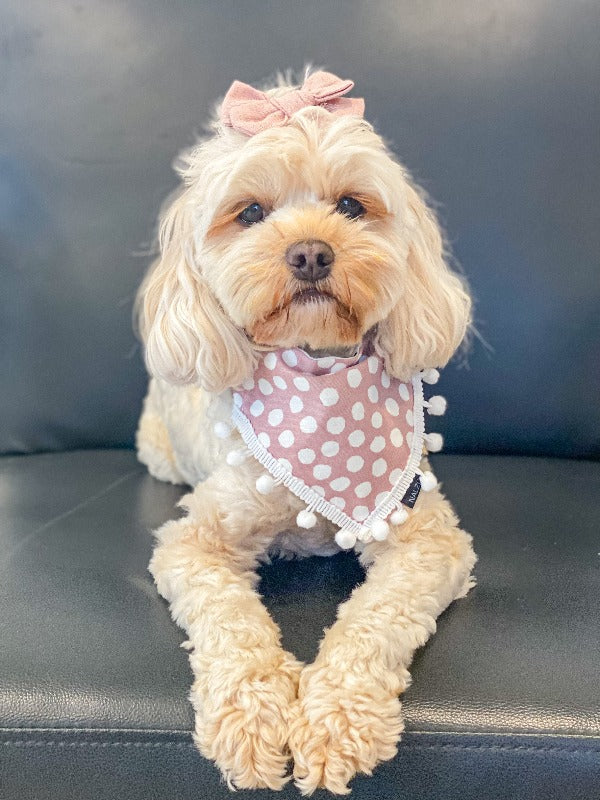 Pink Confetti Bandana