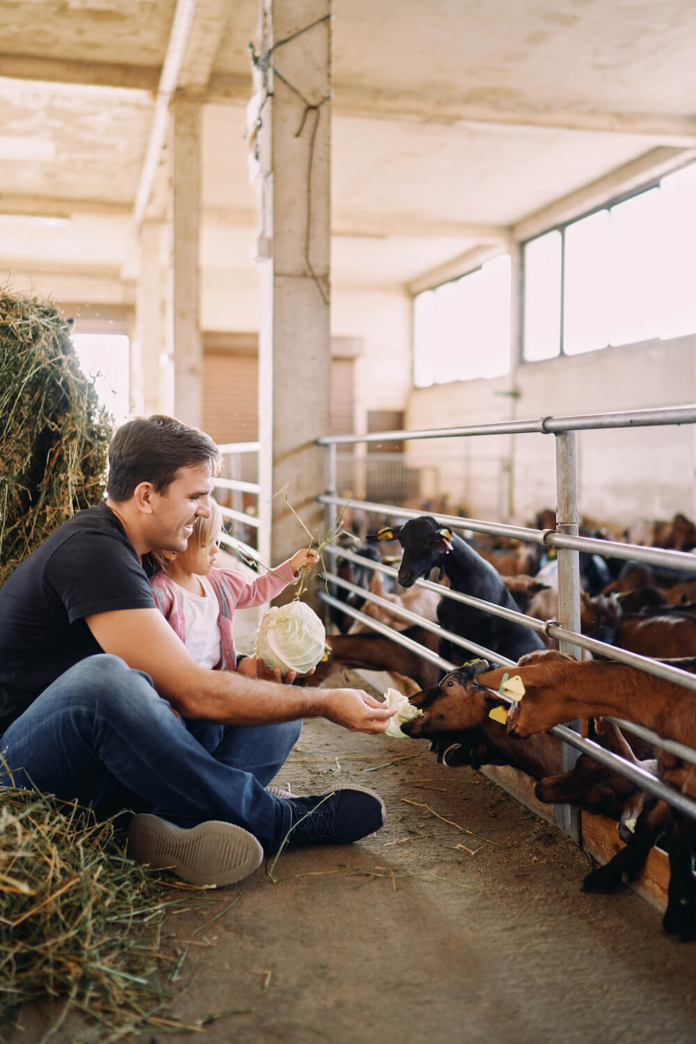 
          
            How To Raise Happy & Healthy Farm Animals
          
        