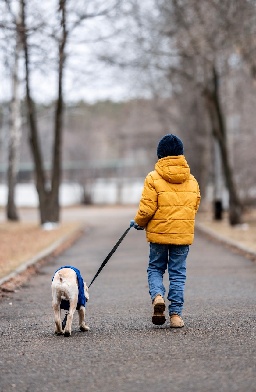 
          
            Boy walking dog on lead
          
        