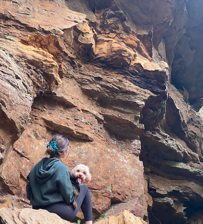 5 Dog Friendly Hikes In Blue Mountains Nalzo The Label NALZO