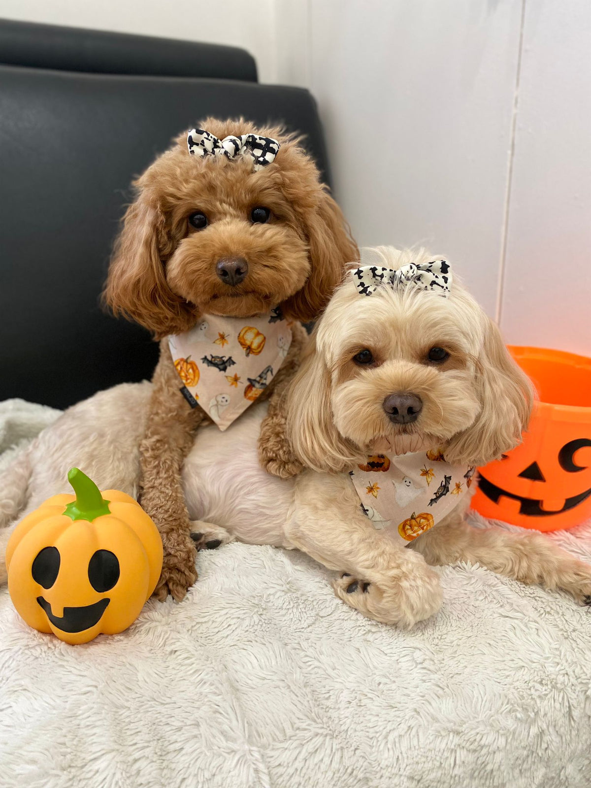 Spooky Boo Bandana