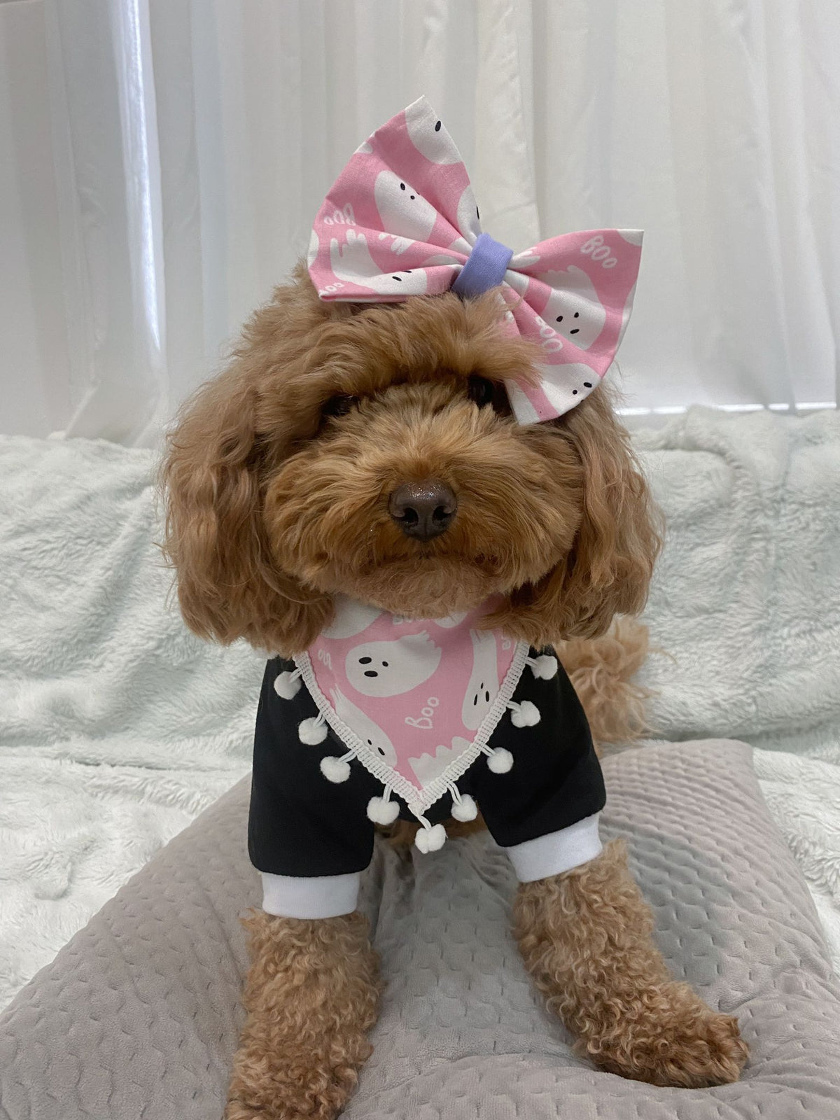 Bossy Boo Bow Tie/ Hair Bow