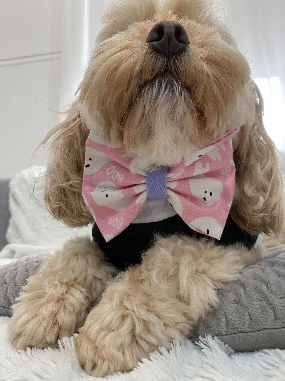 Bossy Boo Bow Tie/ Hair Bow