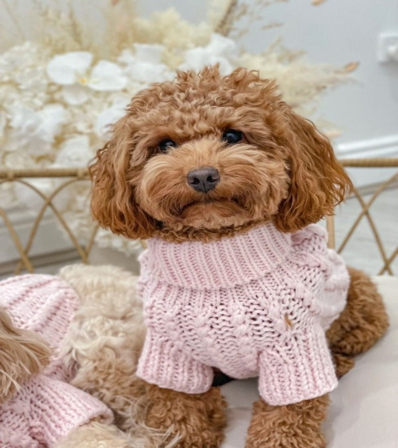 Baby Pink Kelsey Dog Knit Sweater