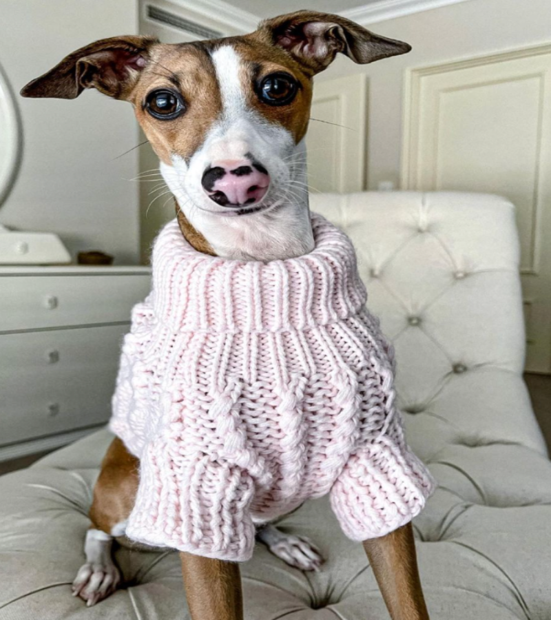 Baby Pink Kelsey Dog Knit Sweater