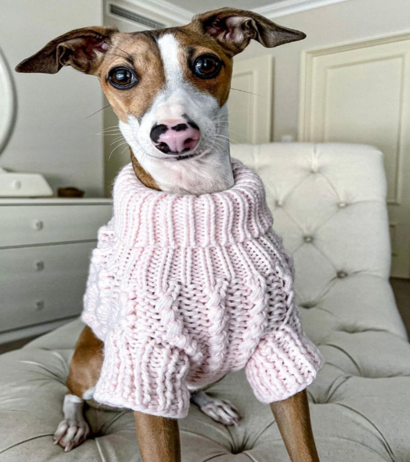 YWY Small Dog Sweater – Turtleneck Knit Dog Dress In Grey/Pink, Warm & Stretchy Acrylic For Small Dogs (Size S)
