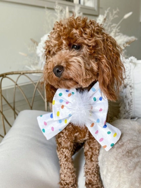 Bow ties discount for dogs australia