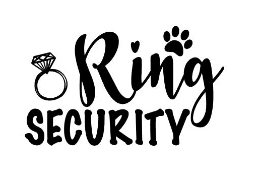 Ring Security - Add On