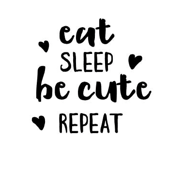 Be Cute and REPEAT - Add On