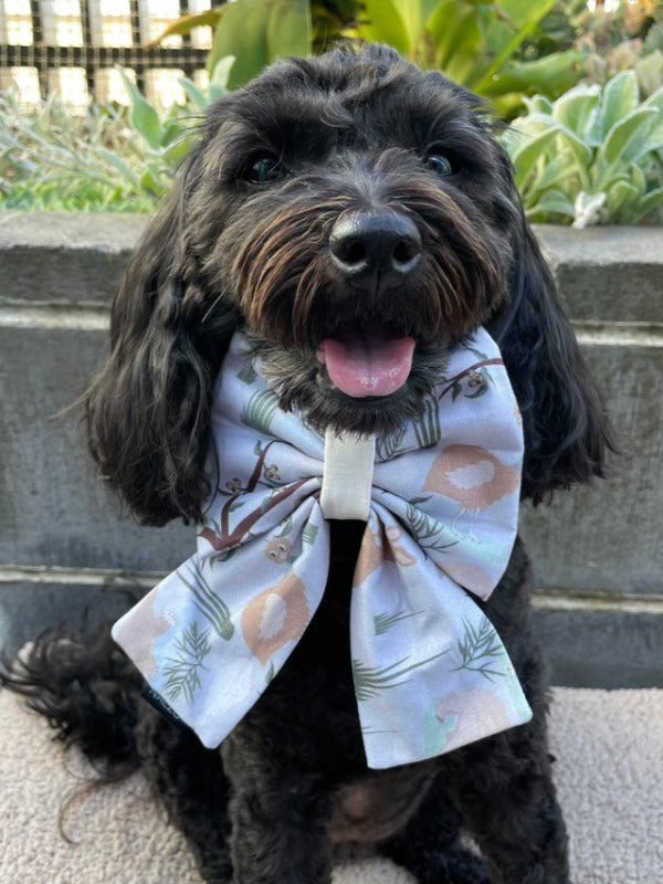 Bow ties best sale for dogs australia