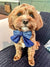 Prosperity Sailor/Bow Tie