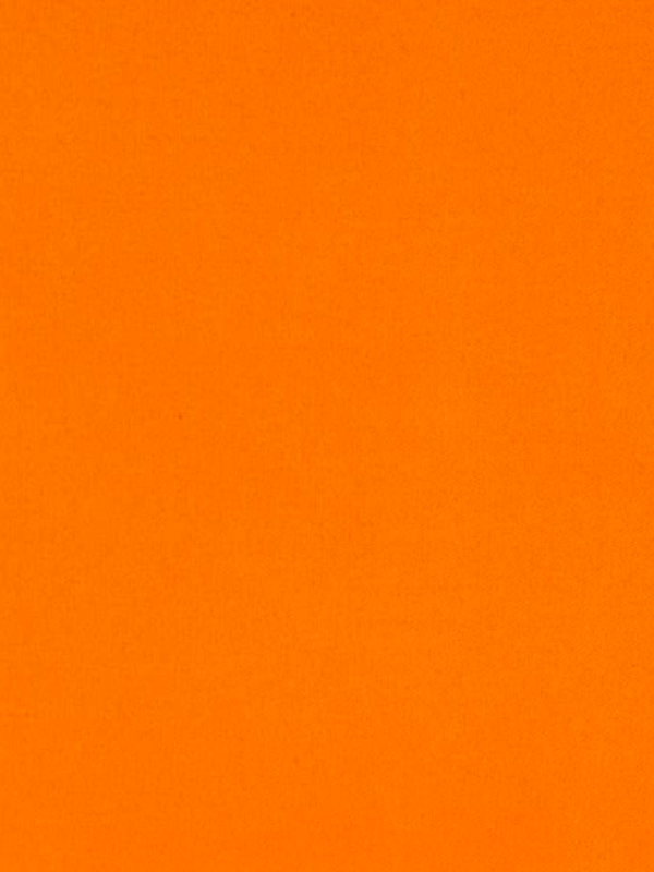 Orange Bandana